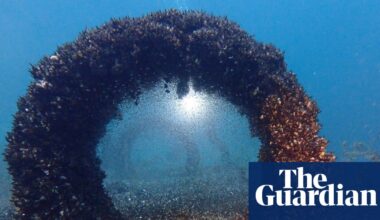 ‘It’s an open invasion’: how millions of quagga mussels changed Lake Geneva for ever | Invasive species