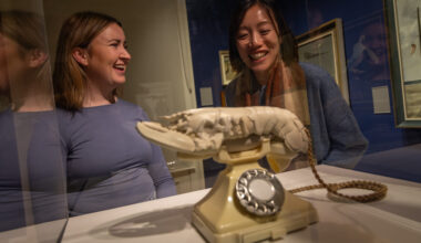 National Galleries of Scotland celebrate the return of Scotland’s Surrealism collection – The NEN – North Edinburgh News