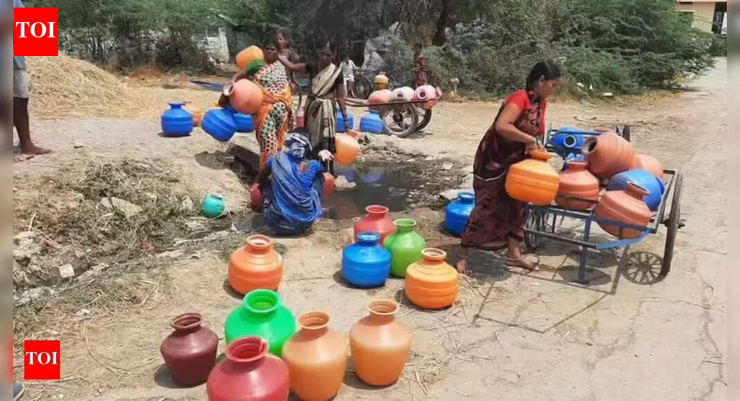 India's groundwater crisis: Which states are heading towards 'Day Zero' first | India News