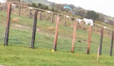 A pair of wayward paragliders had a lucky escape after mistakenly landing just inches from two male polar bears. Image: PA/Peak Wildlife Park
