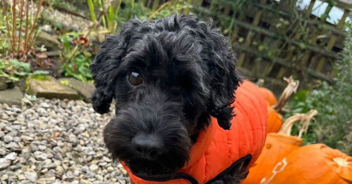 Manchester Evening News