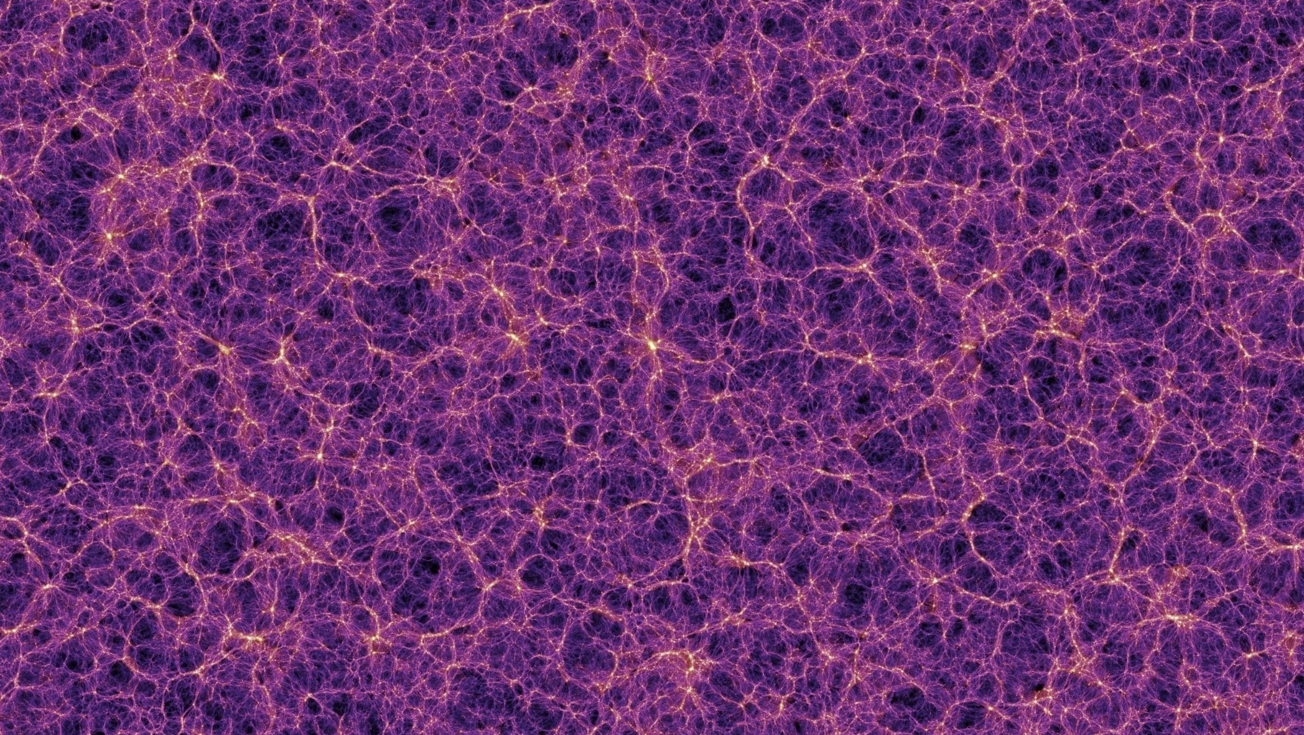 millennium simulation cosmic web slice