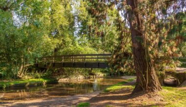 Charming, Leafy Town Near Birmingham is the Most Peaceful Place to Live in England in 2025