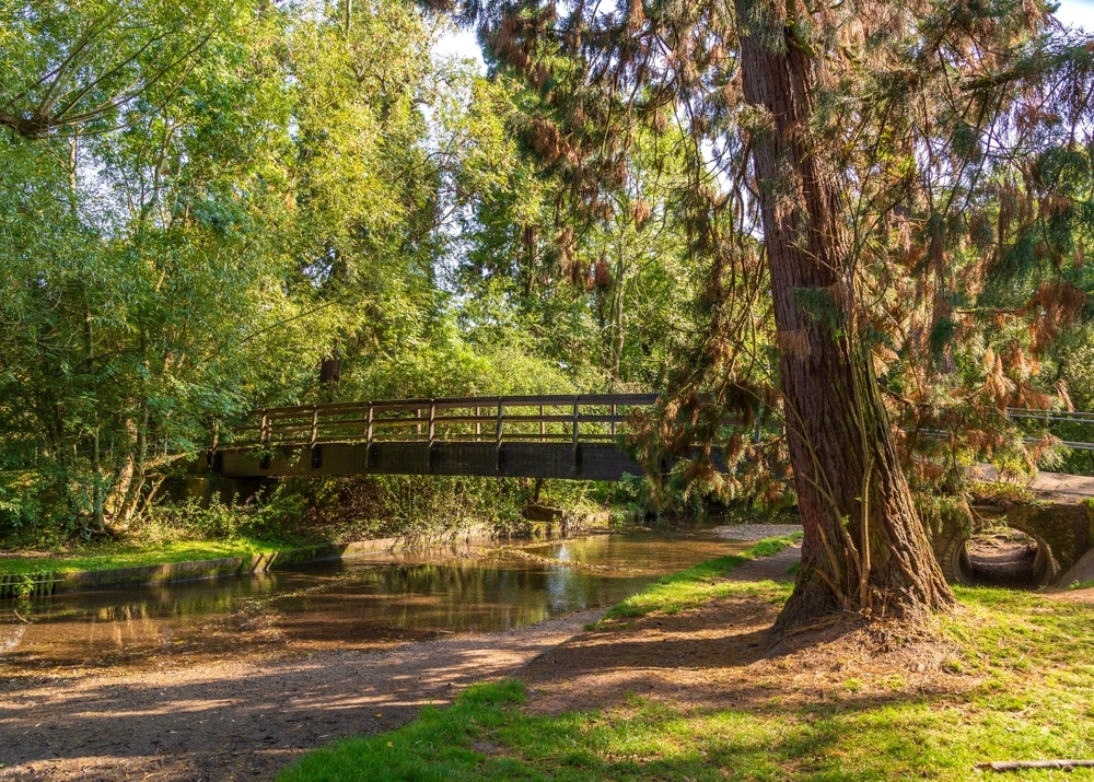 Charming, Leafy Town Near Birmingham is the Most Peaceful Place to Live in England in 2025