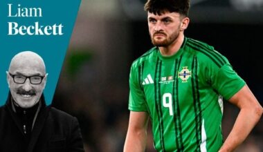 Northern Ireland football: Conor McMenamin and Lee Bonis can aid NI's push for World Cup Play-Off joy