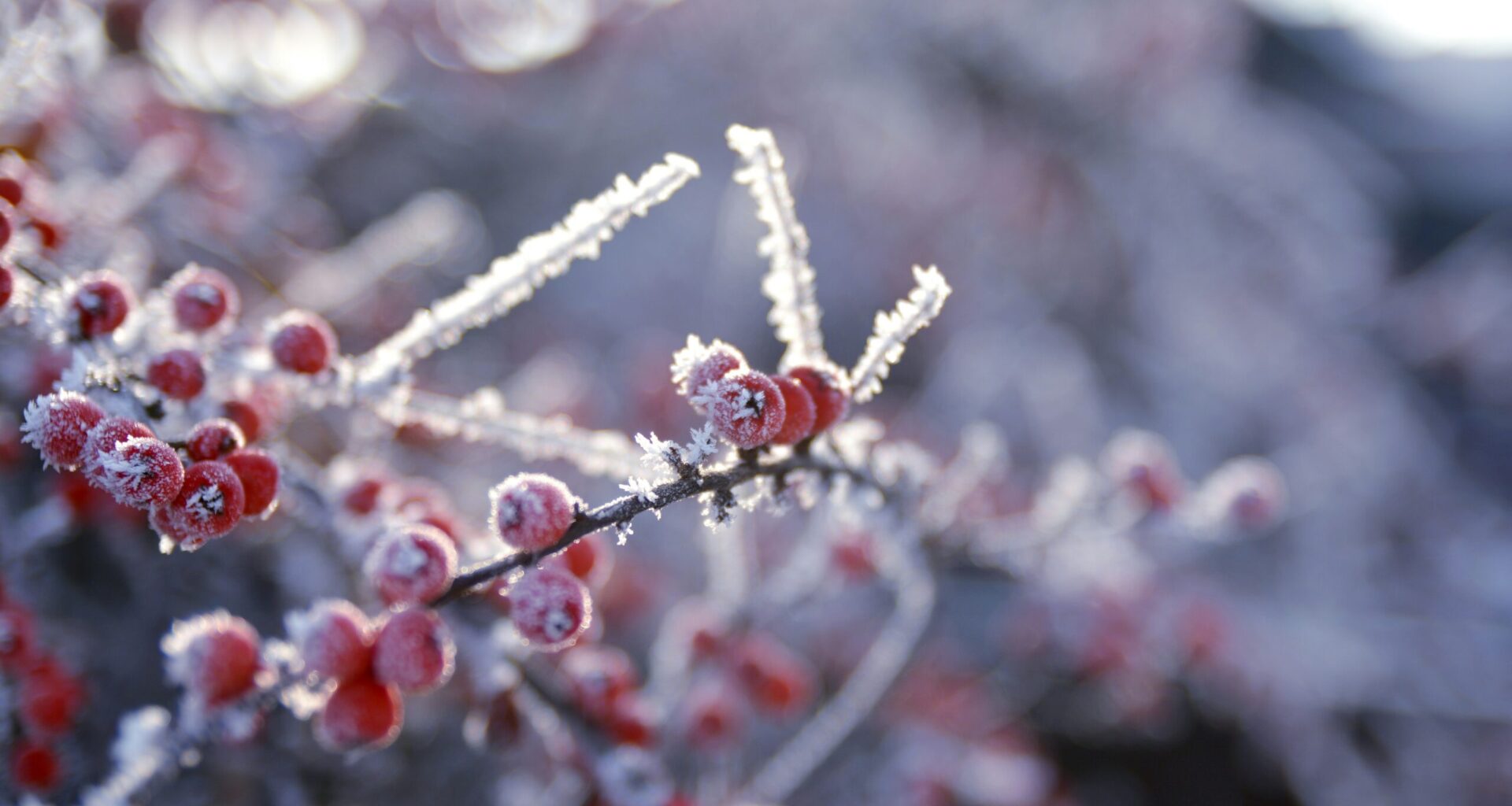Salfordians urged to seek mental health support by NHS as winter sets in