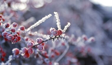 Salfordians urged to seek mental health support by NHS as winter sets in