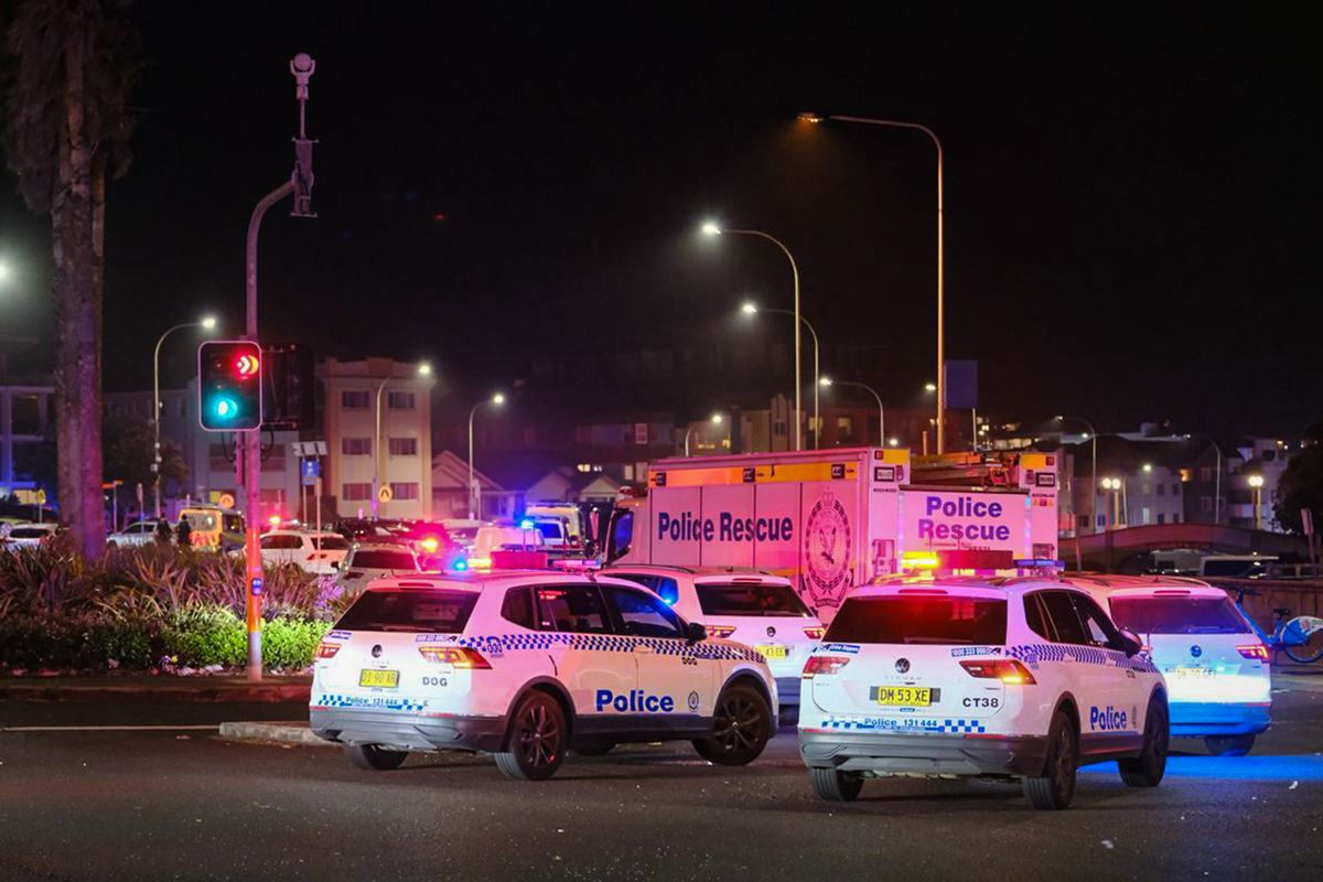 Police cars are seen parked at at the scene