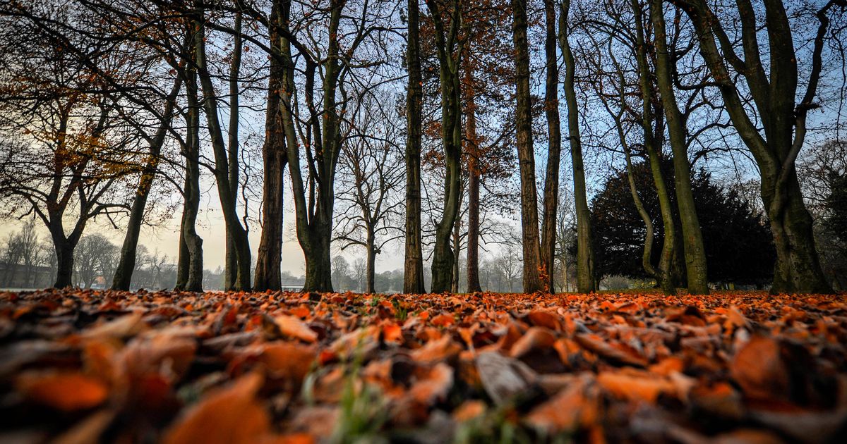 Manchester Evening News