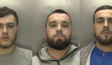 (L-R) Kaiden, Jayden, and Kye Lemathy