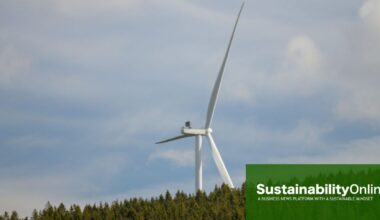 A quarter of the EU’s energy consumption came from renewables last year