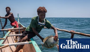 Barracuda, grouper, tuna – and seaweed: Madagascar’s fishers forced to find new ways to survive | Madagascar