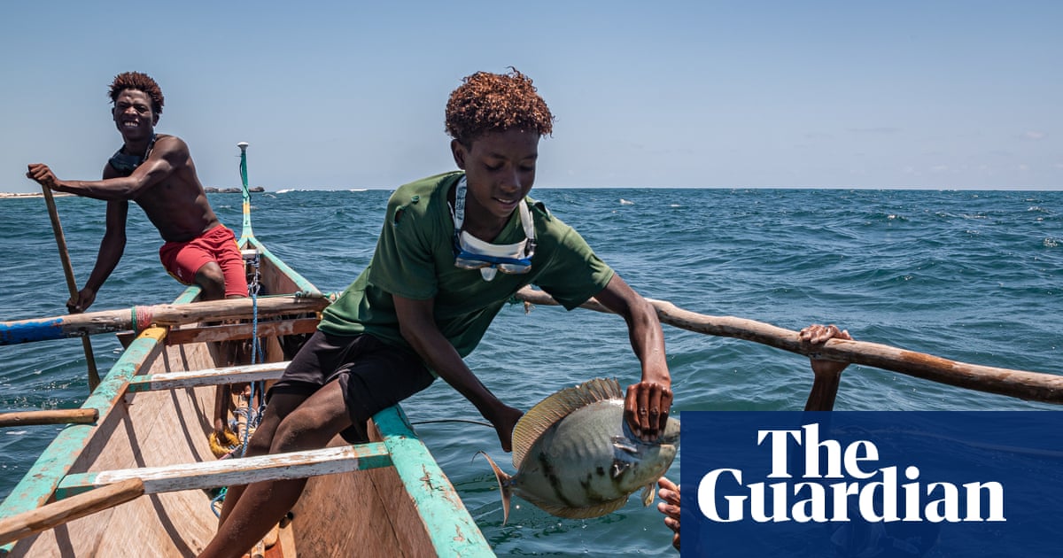 Barracuda, grouper, tuna – and seaweed: Madagascar’s fishers forced to find new ways to survive | Madagascar