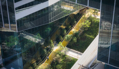 Building Optimism: Lessons from Climate Adaptation in 2025