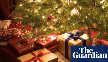 ‘I plugged in Zelda and everything changed’: developers share their fondest Christmas gaming memories | Games