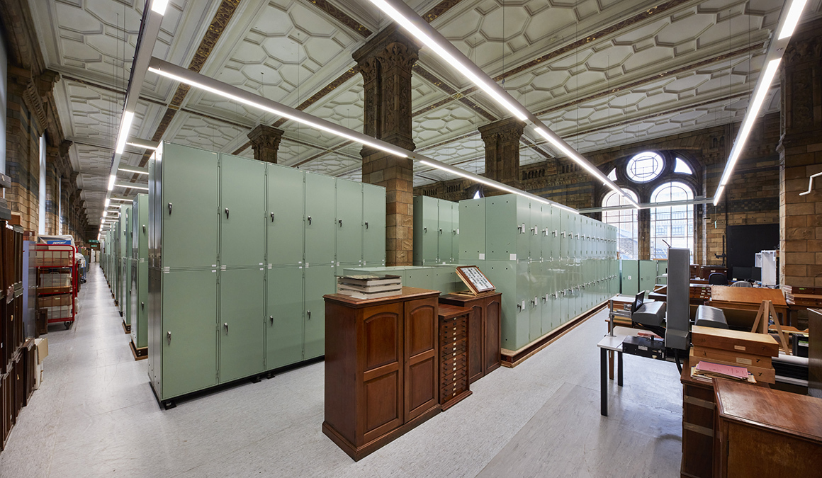 The Natural History Museum In London Is Opening Two Galleries That Have Been Closed to the Public For Decades