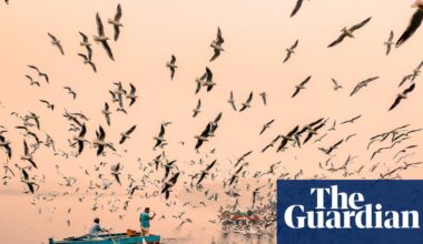 ‘The foggy, golden sunrise makes for incredible images’: Sachin Ghai’s best phone picture | Photography