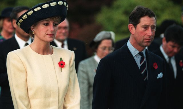 Diana, Princess of Wales, was more 'predatory and skilled' than Prince Charles in media war