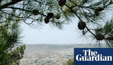 ‘A gift that cannot be sold’: the Palestinian family fighting to save their West Bank farm | West Bank
