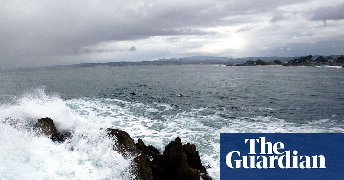 Body of triathlete apparently killed by shark found on California beach | California