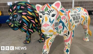 Sheffield Children's Hospital unveils lion sculpture trail
