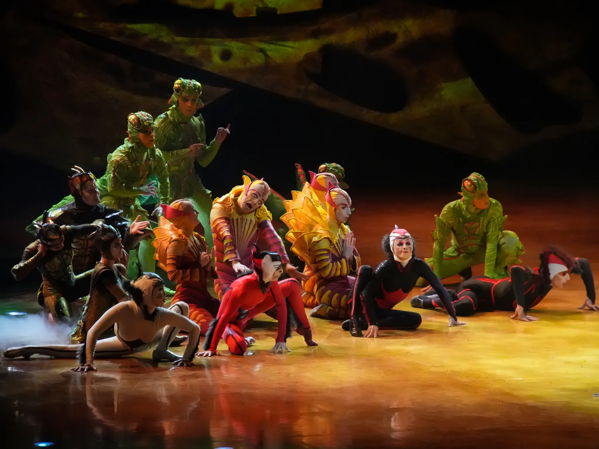 OVO del Cirque du Soleil es un espectáculo digno de ver