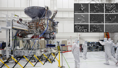 Nasa scientists discover 26 unknown bacterial species in ultra-sanitised cleanrooms