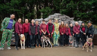 Pop star's incredible donation to Wales' largest dog rescue centre