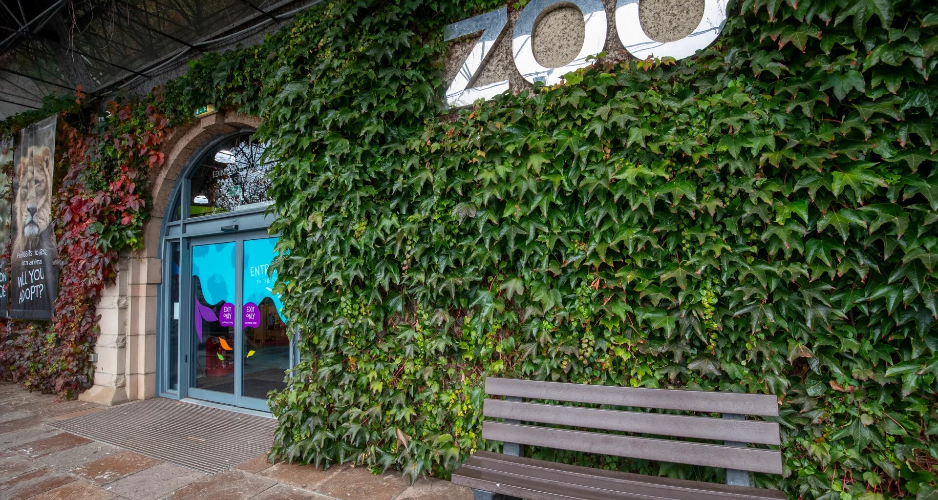 Major Scots zoo AXES popular animal attraction over deadly virus fears