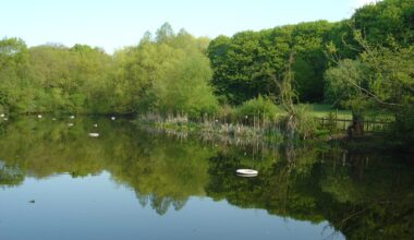 City of London Corporation's response to Judicial Review Permission Hearing