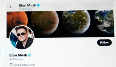 The Musk effect: Could the X owner actually impact Germany’s election?