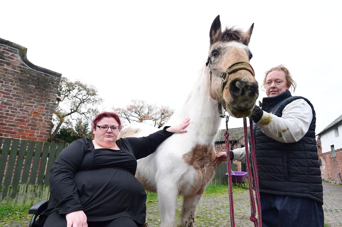 Amy Pirie (left), from Horse Sense Wirral Animal Charity, with Yard Manager Jessica Wood, and Mimi a 34-year-old rescue horse.