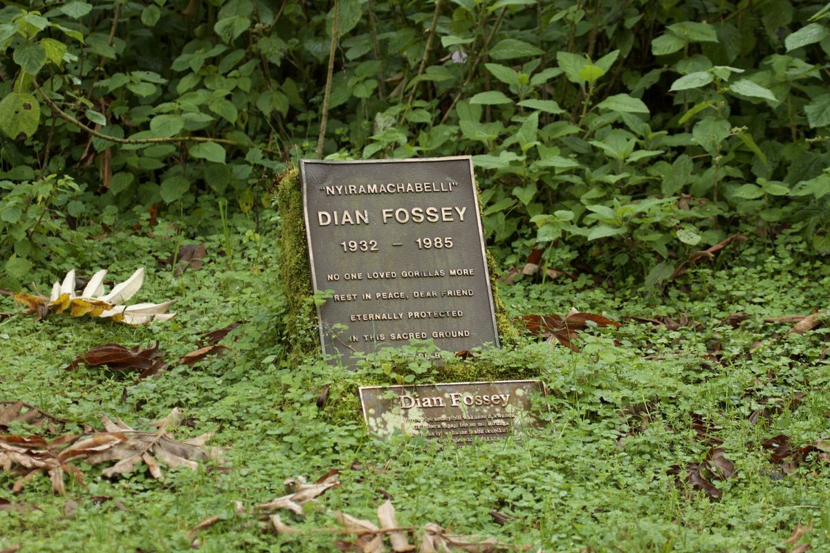 Dian Fossey's gravestone in Rwanda