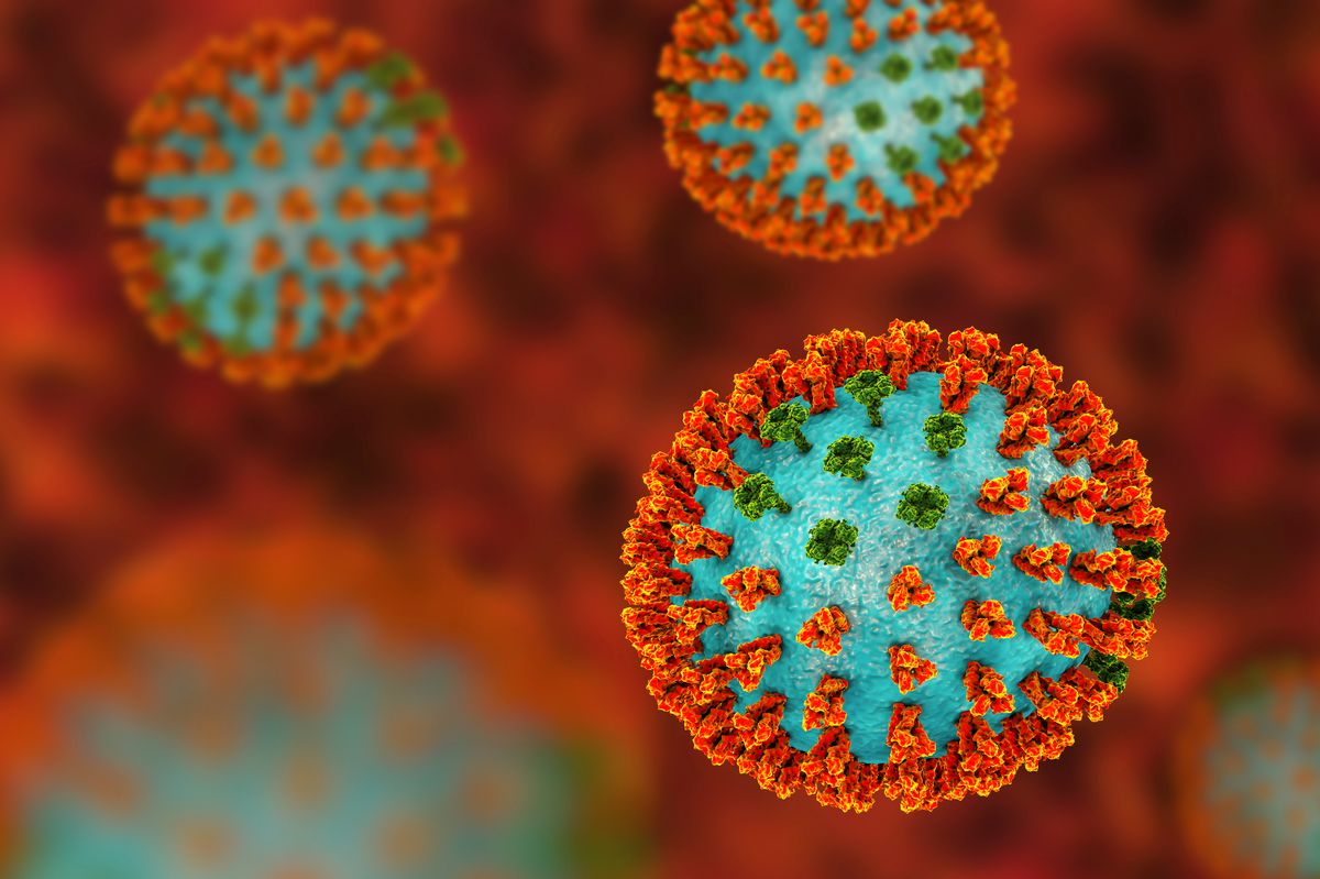 Influenza virus H3N2 strain. 3D illustration showing surface glycoprotein spikes hemagglutinin (orange) and neuraminidase (green) on an influenza (flu) virus particle. Haemagglutinin plays a role in attachment of the virus to human respiratory cells. Neuraminidase plays a role in releasing newly formed virus particles from an infected cell. H3N2 viruses are able to infect birds and mammals as well as humans. They often cause more severe infections in the young and elderly than other flu strains and can lead to increases in hospitalisations and deaths.