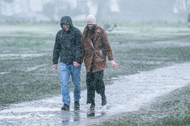 It is expected to be wet and windy, as pictured here at Wimbledon Common, southwest London 