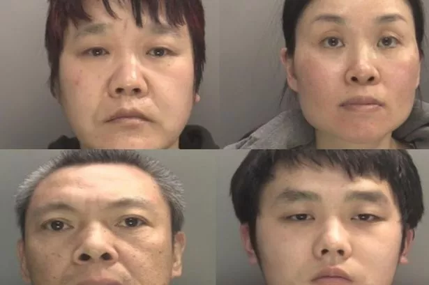 Top row left to right - Honpeng Yang, Mei Yun Wang. Bottom row: Xing Cai Lin, Zheming Han