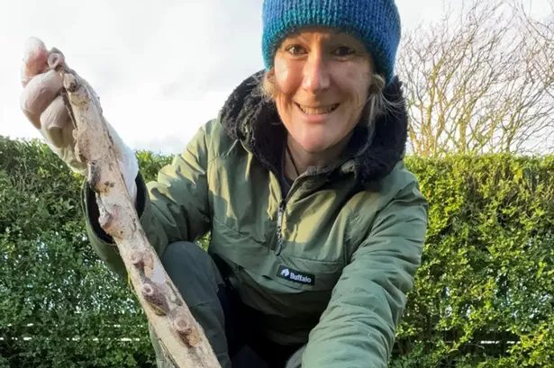 Dr Lauren Smith with the tentacle. 