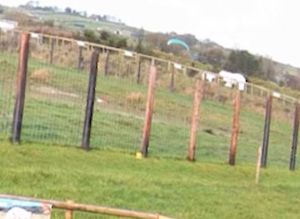 A pair of wayward paragliders had a lucky escape after mistakenly landing just inches from two male polar bears. Image: PA/Peak Wildlife Park