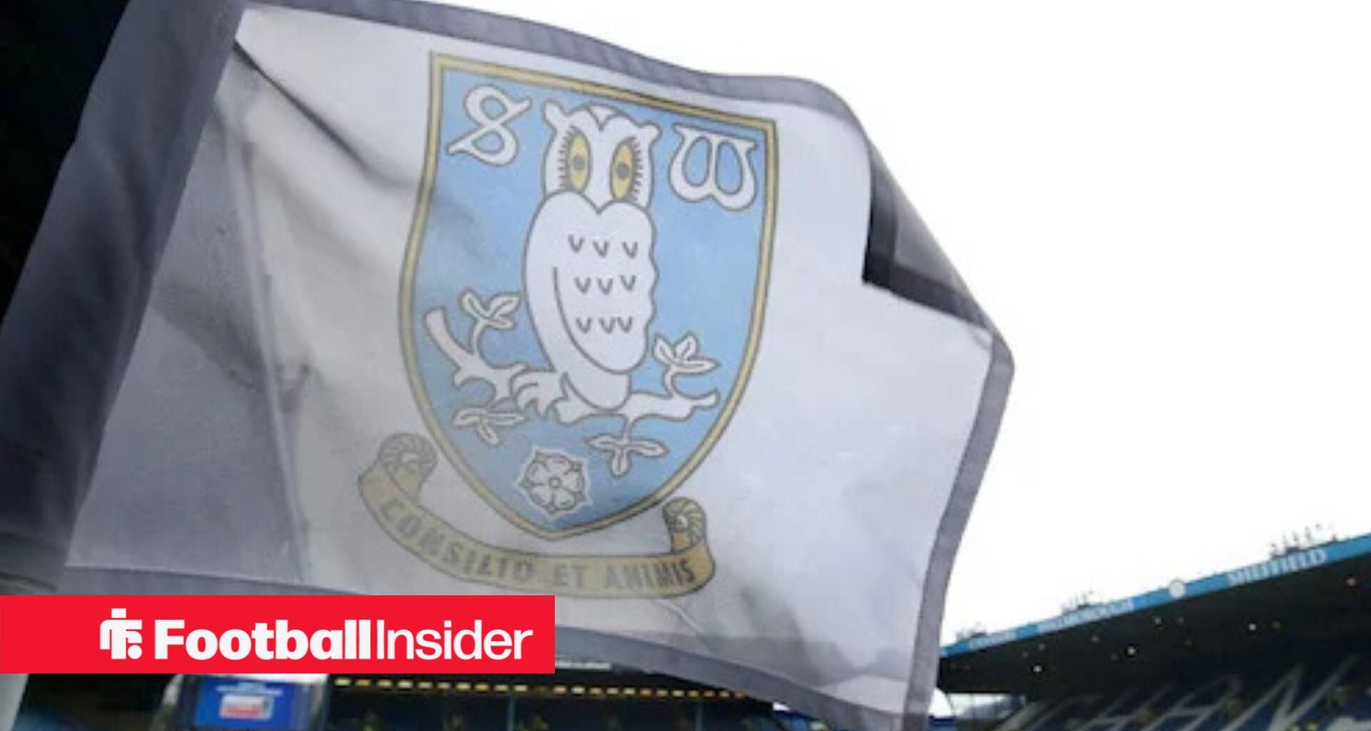 Sheffield Wednesday fans finally see the best of 75% star who dominated Hull City