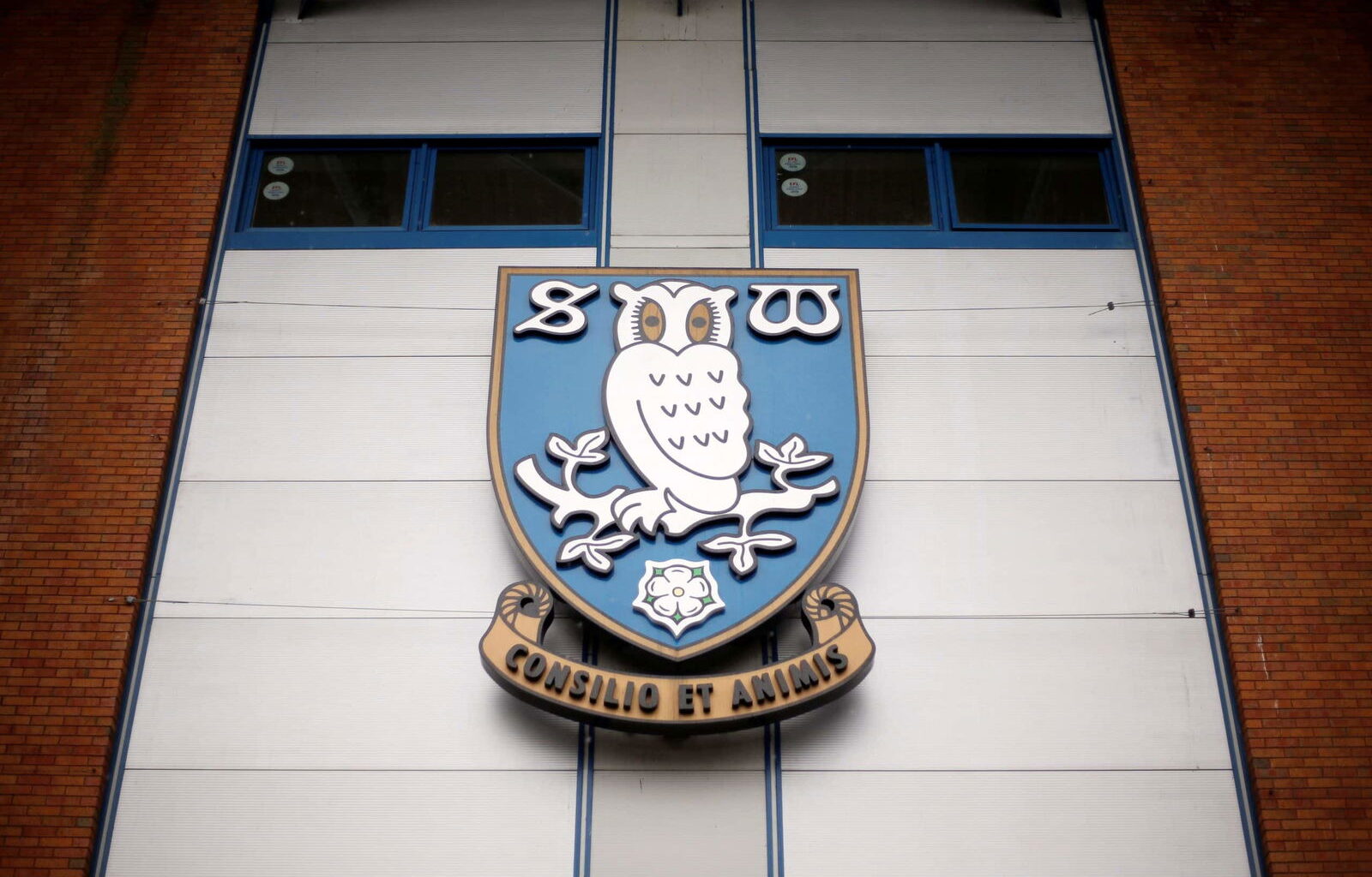 Final Sheffield Wednesday bidders named with last bids due today