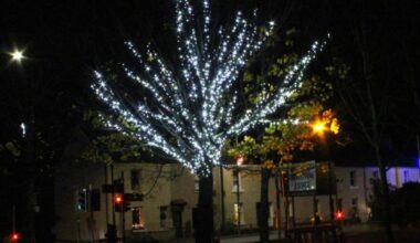 Wallyford: Gala king and queen to switch on festive lights