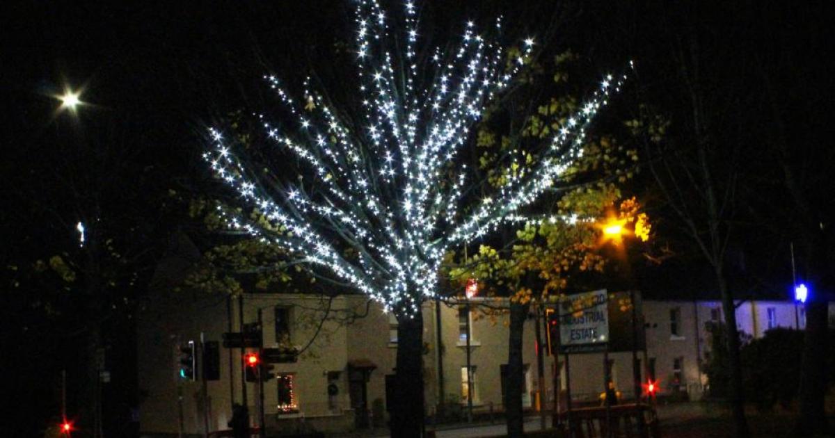 Wallyford: Gala king and queen to switch on festive lights