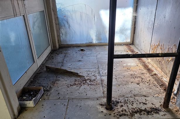 Filthy conditions at Cardiff's University Hospital of Wales