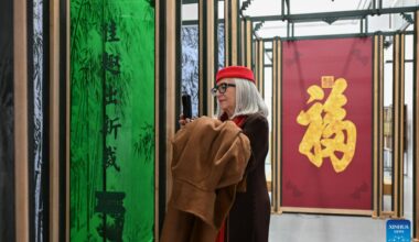 Exhibition of Chinese life aesthetics held in Madrid, Spain-Xinhua