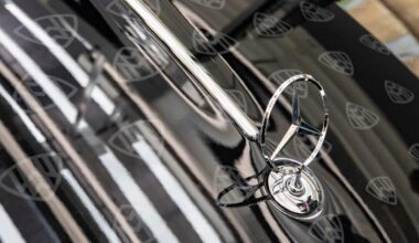 Europe grapples with a year of U.S. tariff-driven strain as internal imbalances deepen-Xinhua