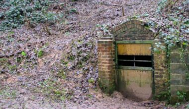 Bats hibernating in Whitlingham Country Park lime kiln