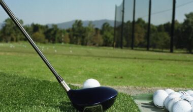 Criticised Wiltshire golf shop and driving range plans could change