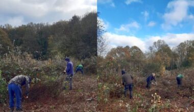 Volunteers transform Highwood Nature Reserve in Woodley