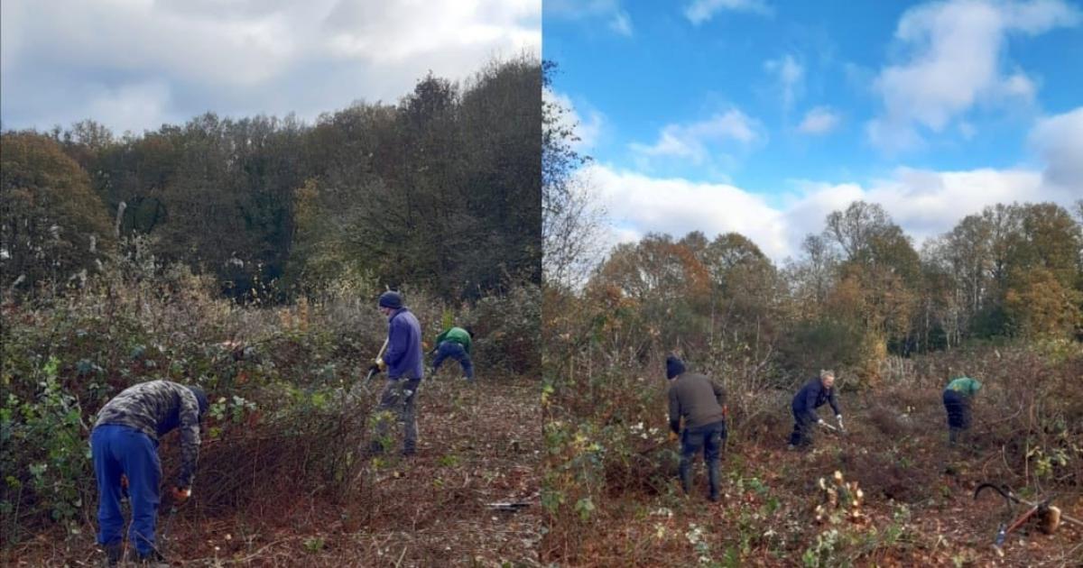 Volunteers transform Highwood Nature Reserve in Woodley
