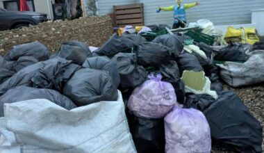 Fears of 'environmental disaster' after Selsey incident